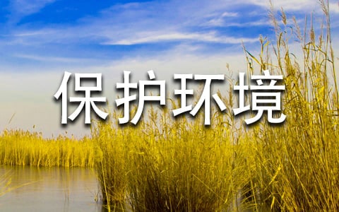 ���o�h��Ӣ�������Z140��