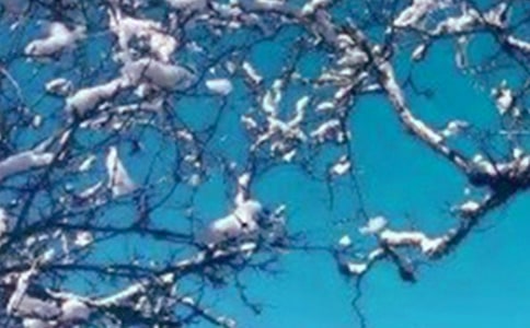 �������ף���Z