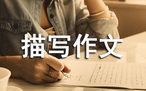 (精選)肖像描寫作文15篇