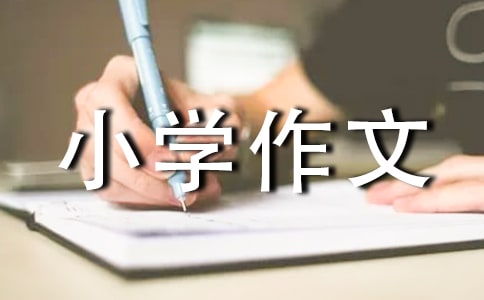 �����Ҳı�����С�W������ƪ
