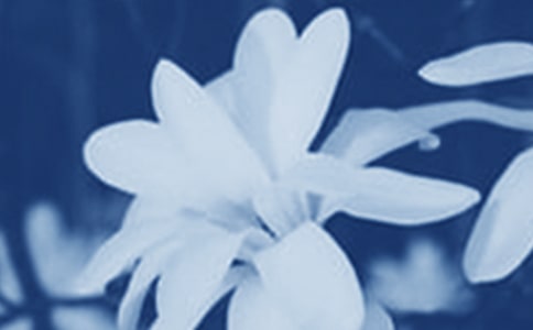 ���m������15ƪ(�])