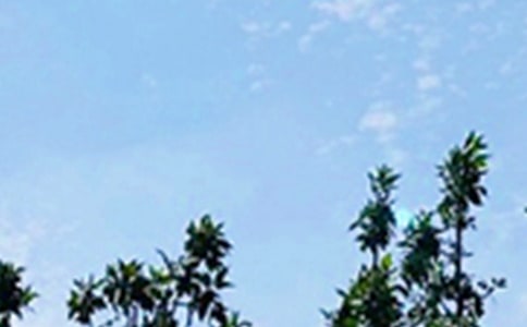 ���ε����õ��簲���Z�Z䛴�R��52��